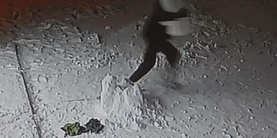 İş yeri önündeki kardan adamı bile çaldılar