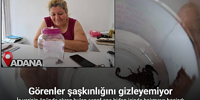 İş yerinin önünde akrep bulan esnaf ona bidon içinde bakmaya başladı