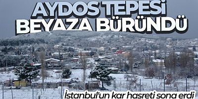 İstanbul'a kar yağdı, Aydos Tepesi beyaza büründü