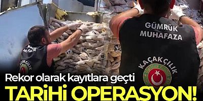 İstanbul Ambarlı Limanı'nda 12.3 milyon adet captagon hap ele geçirildi