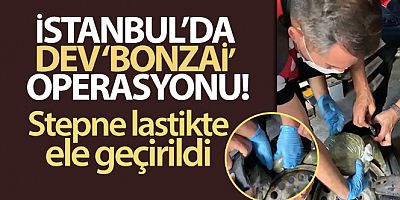 İstanbul'da dev 'bonzai' operasyonu: Stepne lastikte ele geçirildi