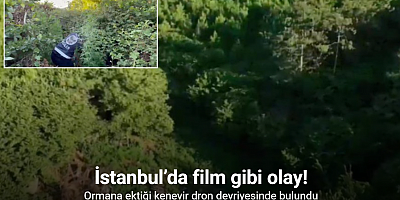 İstanbul’da film gibi olay, ormana ektiği kenevir dron devriyesinde bulundu