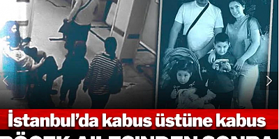İstanbul'da kabus üstüne kabus! Böcek ailesinden sonra bir aile daha zehirlendi