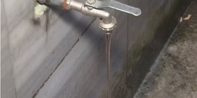 İstanbul'da kaçak kurban kesimi çeşmeden kan akıttı