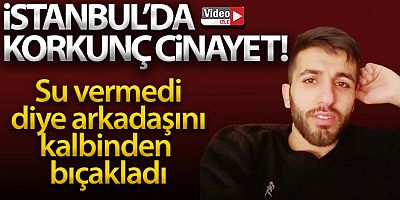 İstanbul'da korkunç cinayet: Su vermedi diye kalbinden bıçakladı