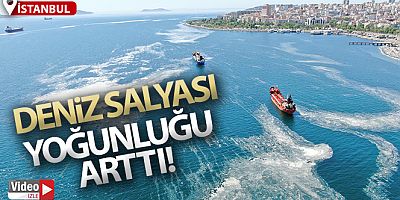 İstanbul sahillerini istila eden deniz salyalarında yoğunluk arttı