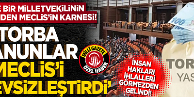 İşte bir milletvekilinin gözünden Meclis’in karnesi! İnsan hakları ihlalleri görmezden gelindi