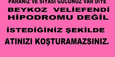 İstediğiniz şekilde atınızı koşturuyorsunuz Beykoz Veli efendi  Hipodromu değil 
