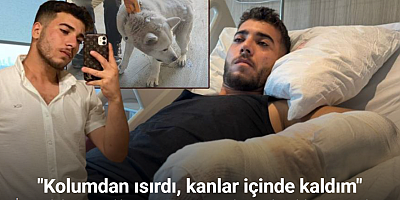 İşyerindeki köpeğin saldırısı nedeniyle ağır yaralanan adam o anları anlattı: 