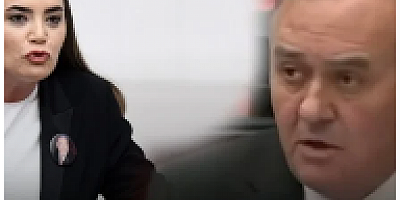 İYİ Parti ve MHP'li vekiller birbirine girdi!
