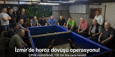 İzmir’de horoz dövüşü operasyonu: Çiftlik mühürlendi, 130 bin lira ceza kesildi