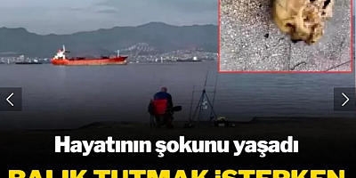 İzmir'de korkunç olay! Oltaya insan kafası takıldı