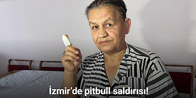 İzmir’de pitbull saldırısı: 5 çocuk annesi kadının parmağı koptu