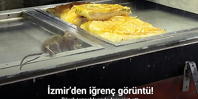 İzmir’den iğrenç görüntü: Börek tezgahlarında fare cirit attı