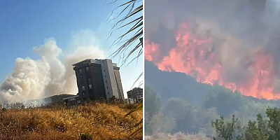 İzmir'in Buca ilçesinde orman yangını! Alevler hızla ilerliyor