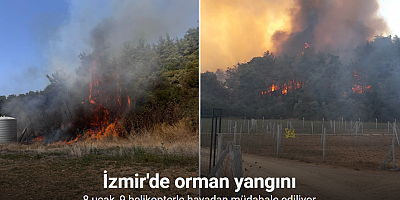 İzmir Menderes’te orman yangını