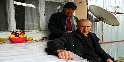 Kafasına vurulan elmanın rengini ve cinsini biliyor