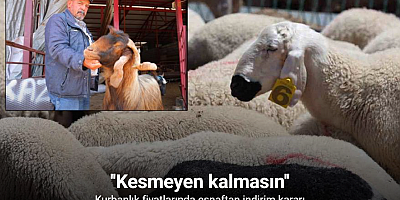 Kahramanmaraş’ta kurbanlık fiyatlarında esnaftan indirim kararı