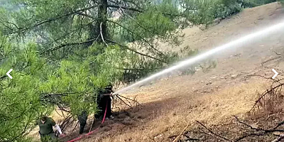 Kahramanmaraş’taki orman yangını 3’üncü gününde kontrol altına alındı