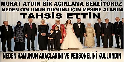 Kamuya Ait Olan Mesire Alanını Neden  Kendi Oğlunun Düğününe Tahsis Ettin