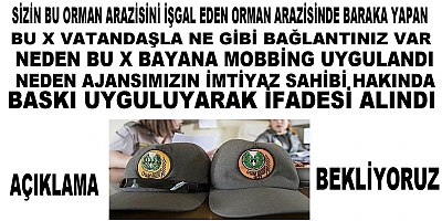 Kanlıca Orman Müdürlüğü Ve Şefliği Bakın Haklarında Şikayet Konusu Olunca Nasıl Şikayet Konularını Yok Ediyorlar
