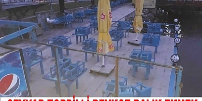 Kanunlardan daha ağır basıyor seyyar Beykoz balık ekmek
