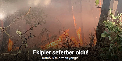 Karabük’te orman yangını