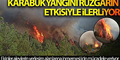 Karabük yangını rüzgarın etkisiyle ilerliyor