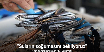 Karadeniz’de bu yıl hamsi beklentisi büyük