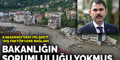 Karadeniz'deki felaketi 'dış faktör'lere bağladı: Bakanlığın sorumluluğu yokmuş