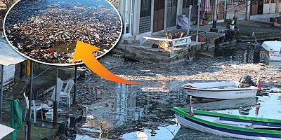 Karadeniz’e atılan çöpler, barınaklara birikiyor