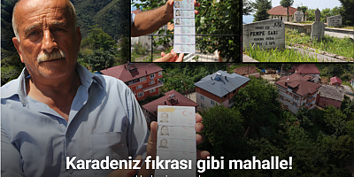 Karadeniz fıkrası gibi mahalle: Herkesin soyadı aynı