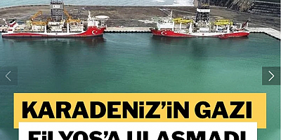 Karadeniz gazı Fiyos’u bile ısıtmadı