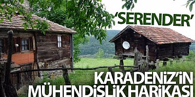 Karadeniz'in mühendislik harikası: Serender