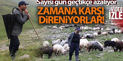Karadeniz'in son sürü sahipleri