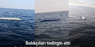 Karadeniz kıyılarında bir insansız deniz aracı şüphesi daha