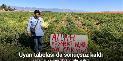 Karpuz hırsızlarıyla başa çıkmak için kibar ikazda bulunan çiftçinin çözümü sonuçsuz kalınca tarlada nöbete başladı