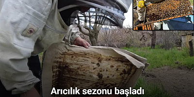 Kars’ta dede mesleği yaşatılıyor: Arıcılık sezonu başladı