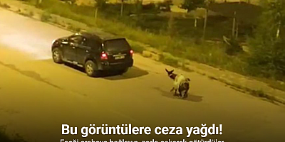Kars’ta eşeği arabaya bağlayıp, zorla çekerek götürdüler