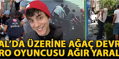 Kartal’da üzerine ağaç devrilen tiyatro oyuncusu ağır yaralandı