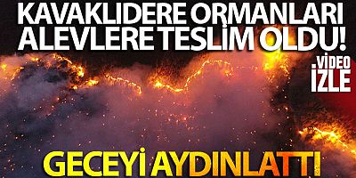 Kavaklıdere ormanları alevlere teslim oldu
