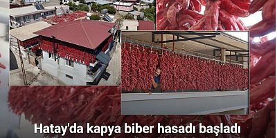 Kavurucu sıcakta tek tek ipe dizilen dolmalık acı biberler, mahalledeki balkonları kırmızıya bürüdü