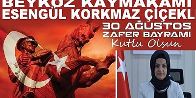 Kaymakam Çiçekli 30 Ağustos Zafer Bayramının 100. Yıldönümü nedeniyle bir kutlama mesajı yayınladı.