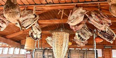 Kaz yumurtası ile kaz yağı tam bir şifa kaynağı