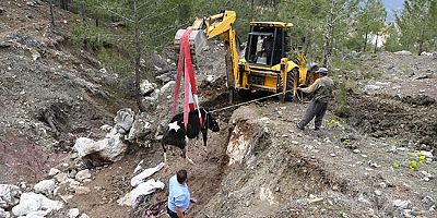 Kepçeyle kurtarıldı