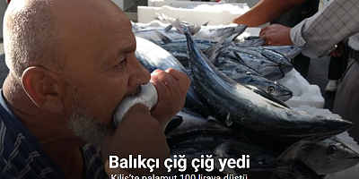 Kilis’te palamut 100 liraya düştü, balıkçı çiğ çiğ yedi