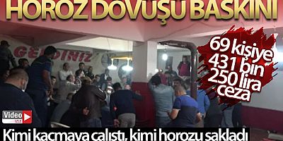 Kırıkkale'de horoz dövüşü baskını: 69 kişiye 431 bin 250 lira ceza