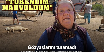 Kırıkkale’de iki ayrı besicinin 210 hayvanı telef oldu: 63 yaşındaki kadın gözyaşlarını tutamadı