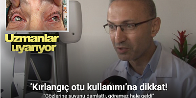 ’Kırlangıç otu kullanımı’na dikkat, uzmanlar uyarıyor: 