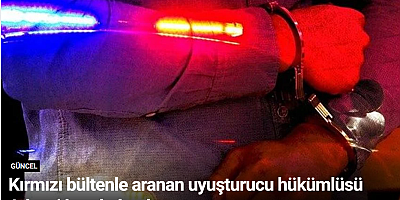 Kırmızı bültenle aranan uyuşturucu hükümlüsü Adana'da yakalandı